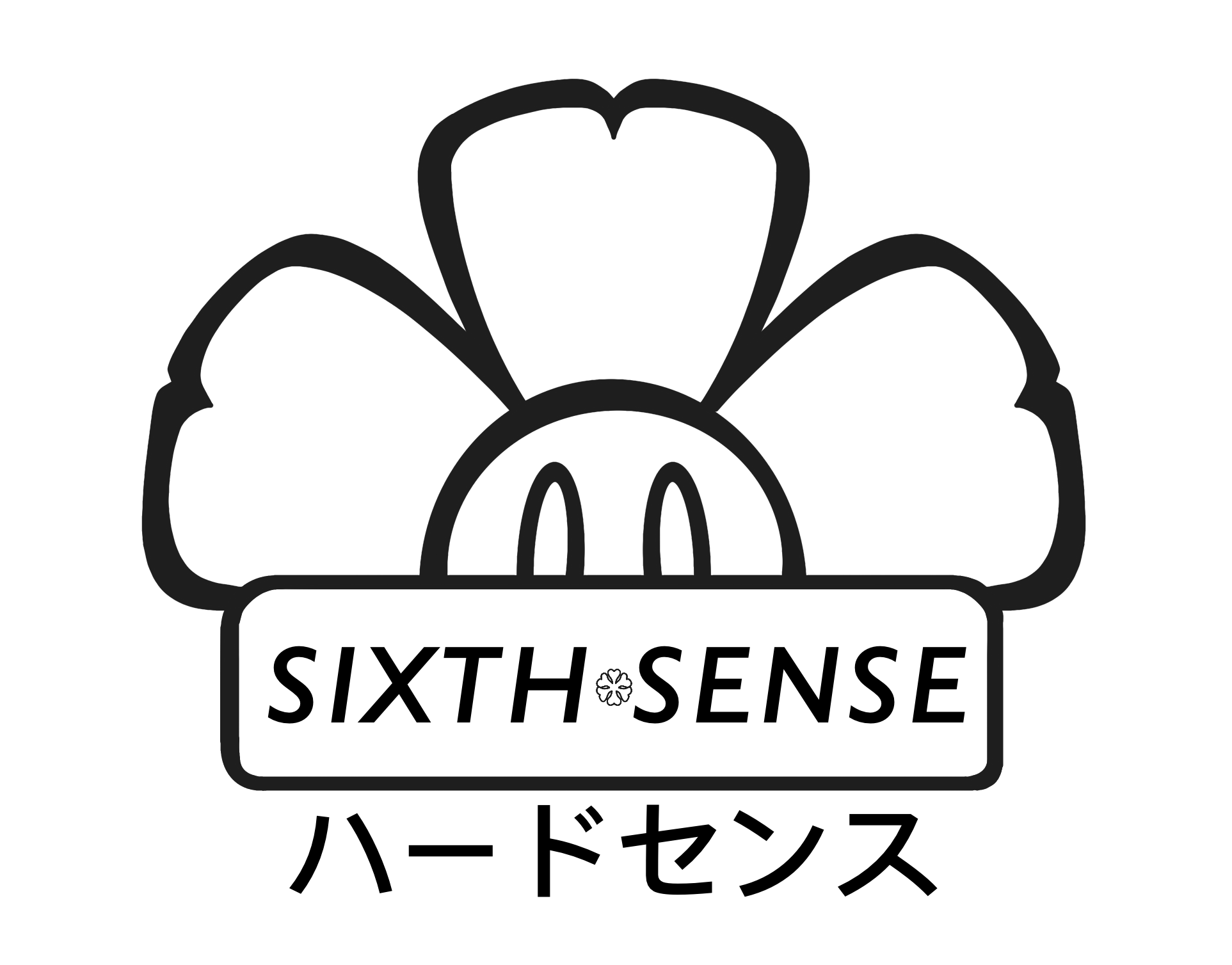 Sixth Sense